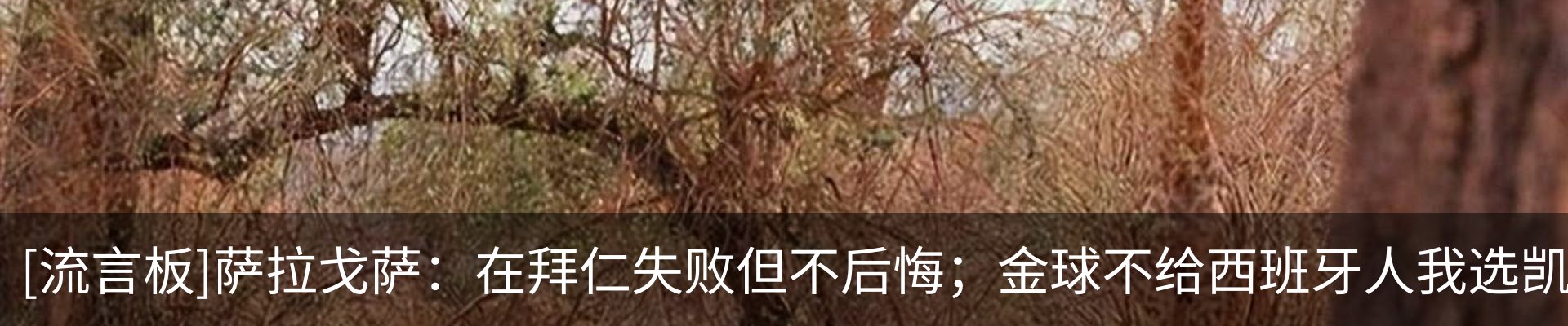 最新动态